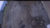 Web Cam Image - Sun, 05/11/2025 11:39am PDT
