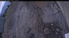 Web Cam Image - Sun, 05/11/2025 11:29am PDT