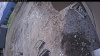 Web Cam Image - Sun, 05/11/2025 10:24am PDT