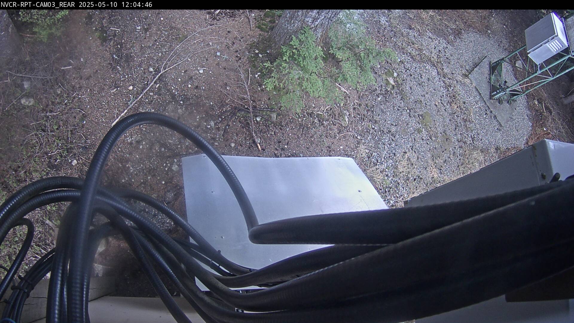 Web Cam History Image - 113