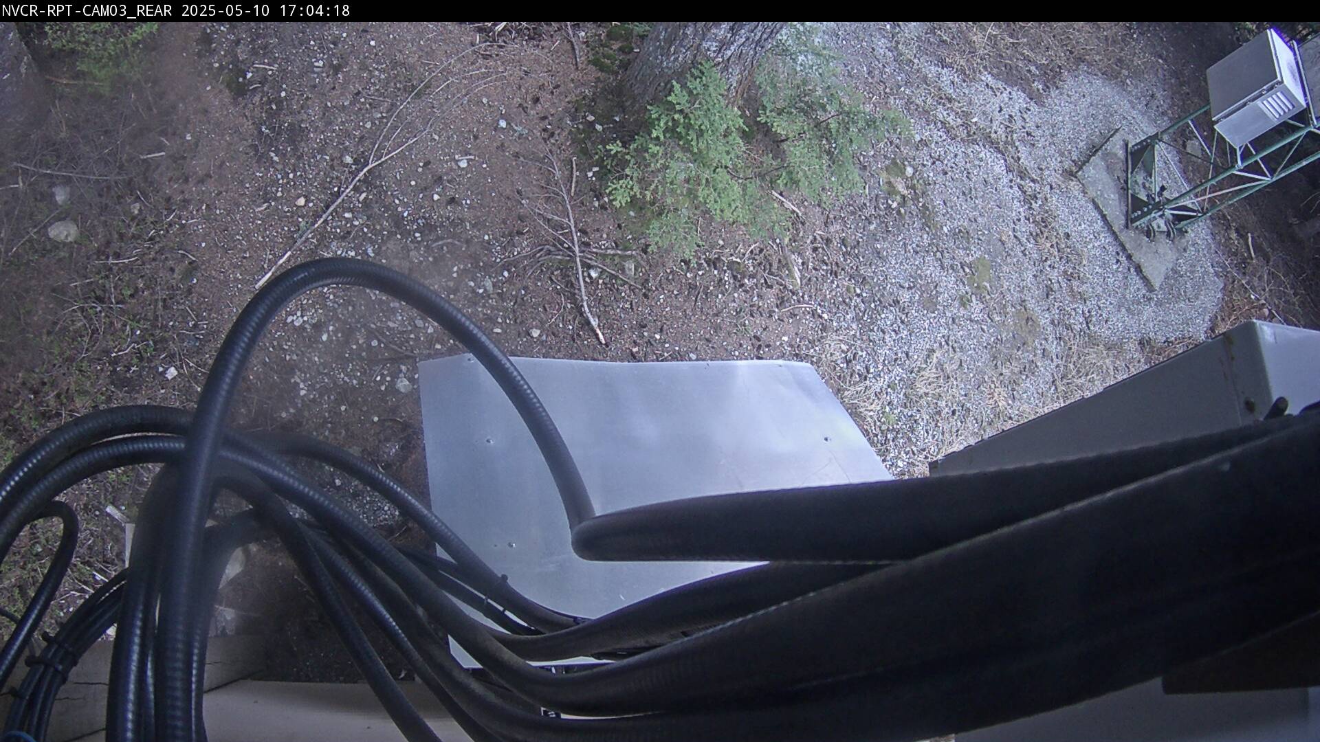 Web Cam History Image - 131