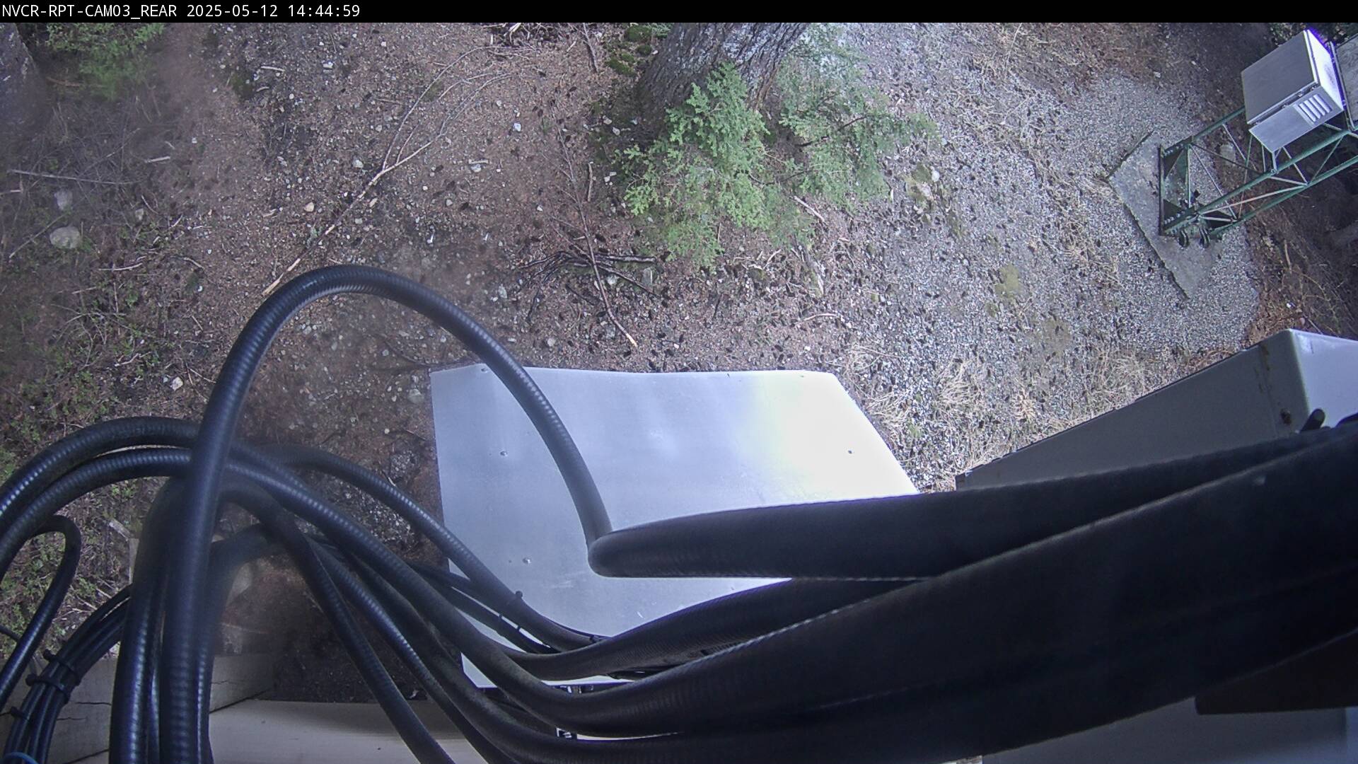 Web Cam History Image - 174