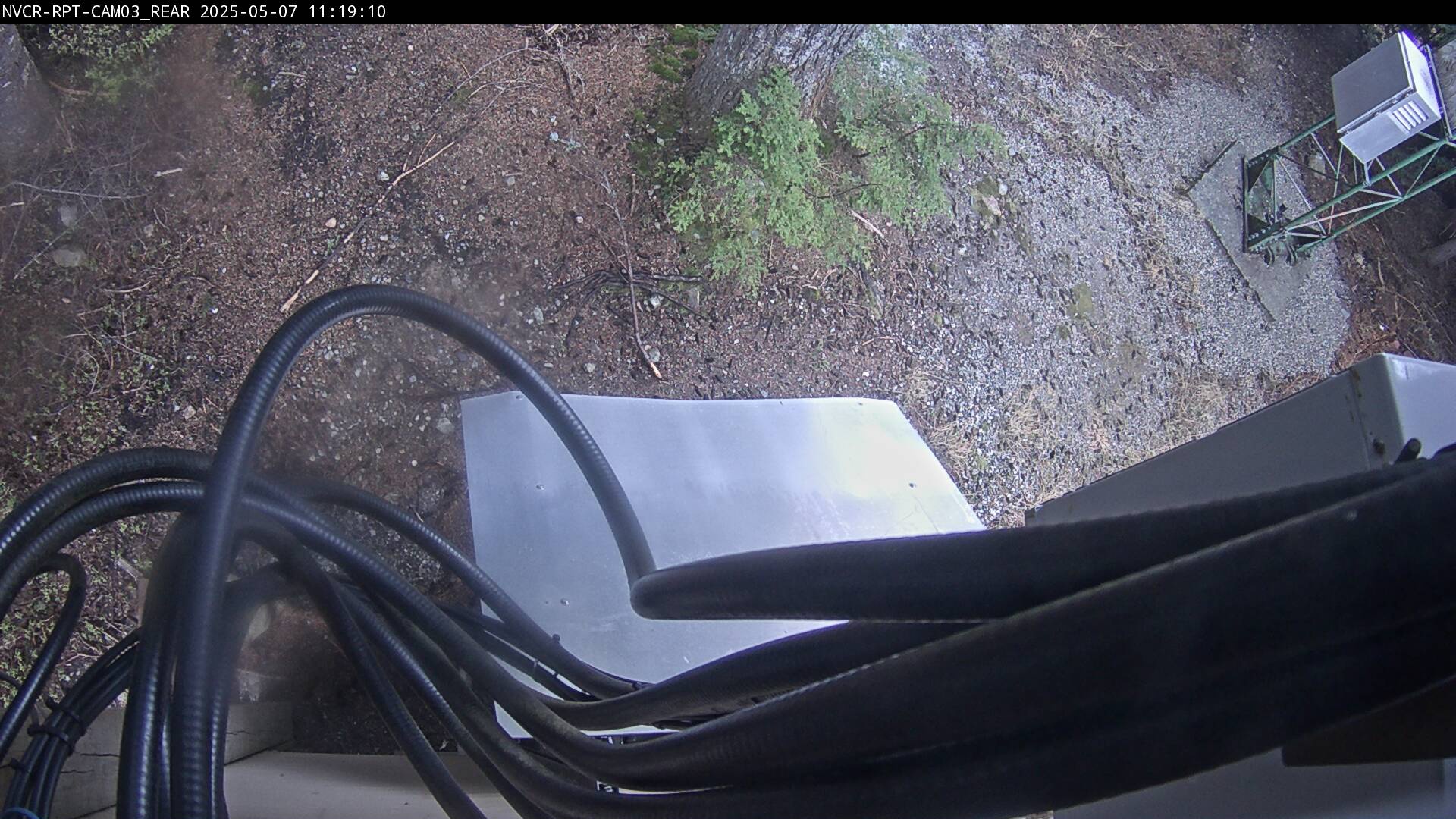 Web Cam History Image - 185