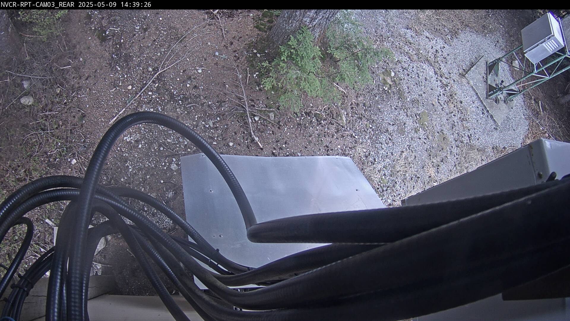 Web Cam History Image - 190