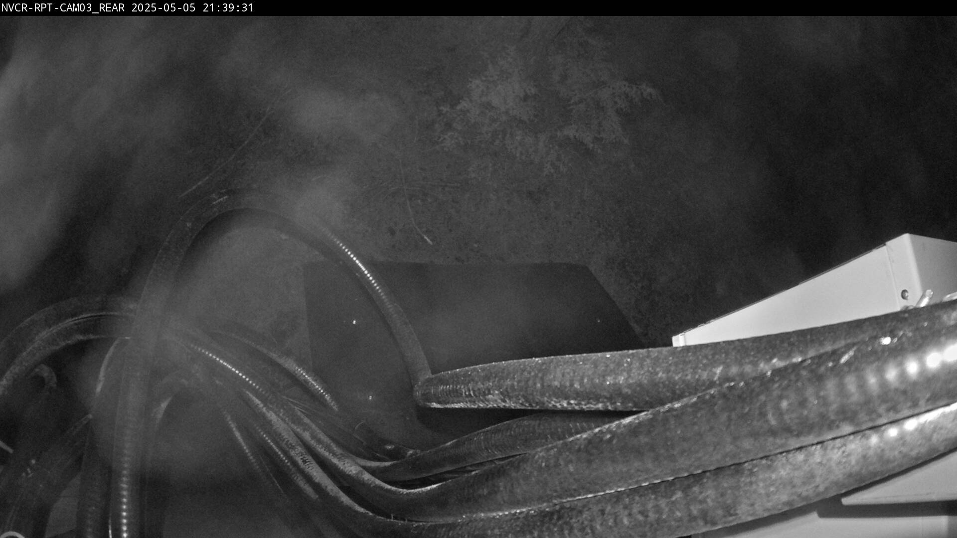 Web Cam History Image - 207