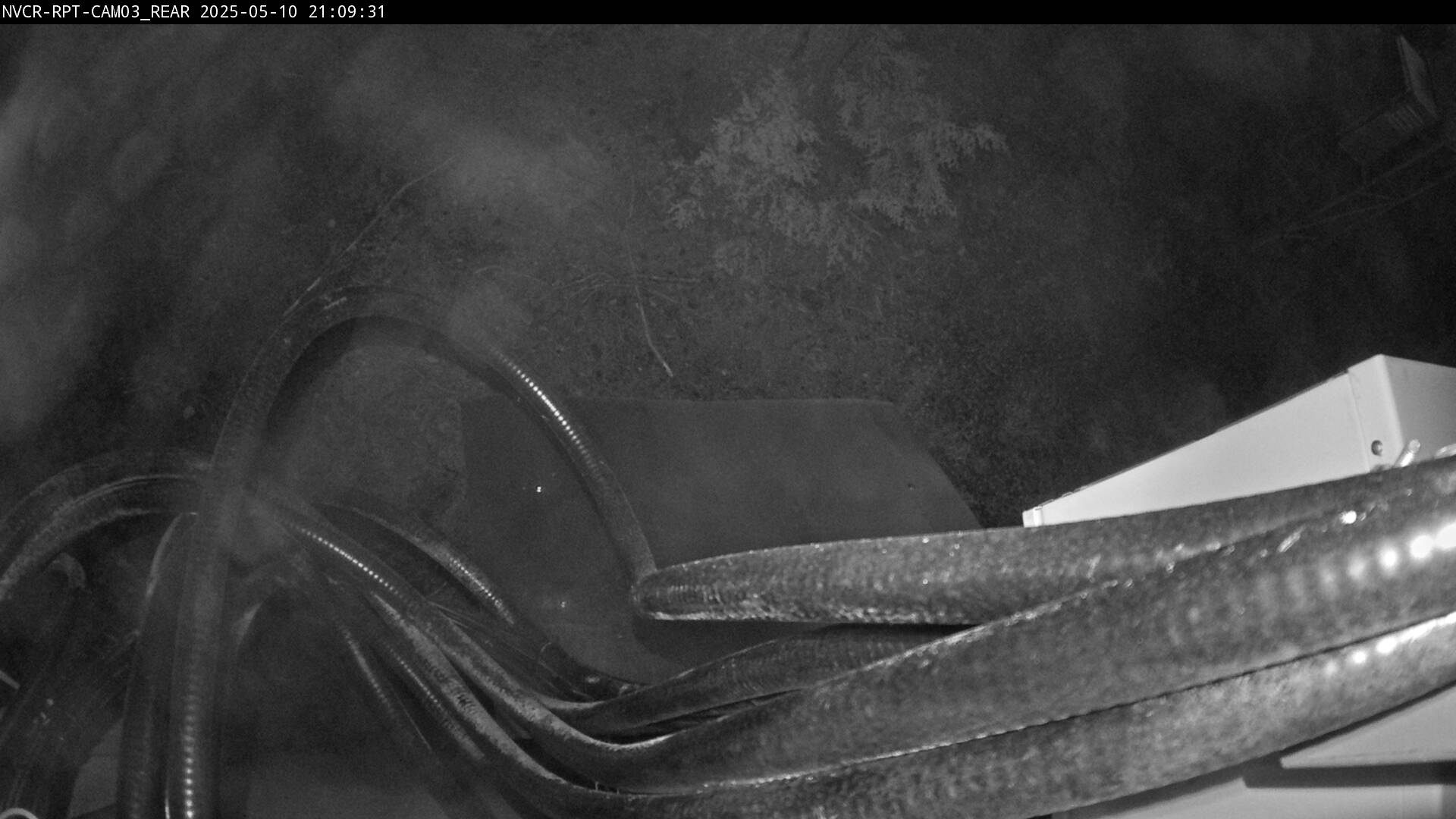 Web Cam History Image - 371