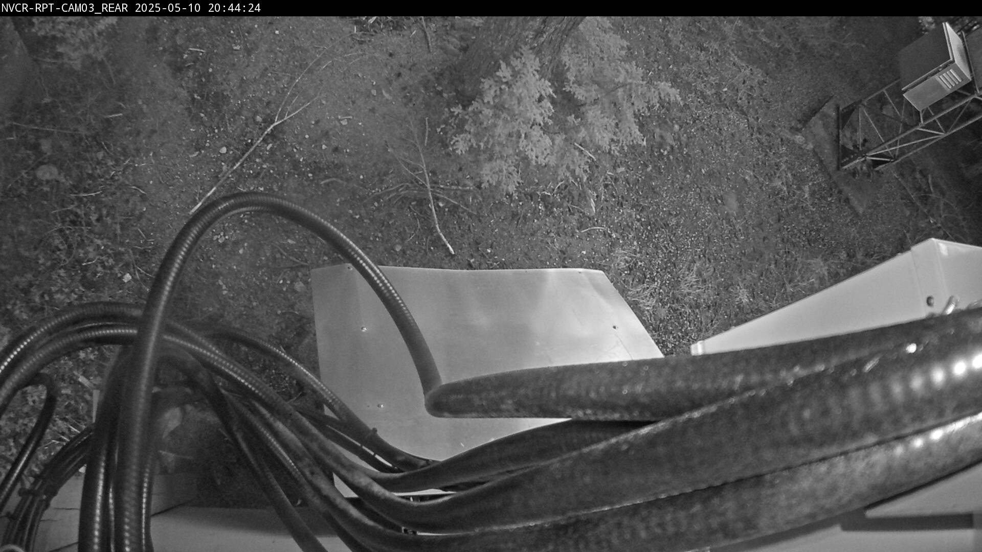 Web Cam History Image - 379