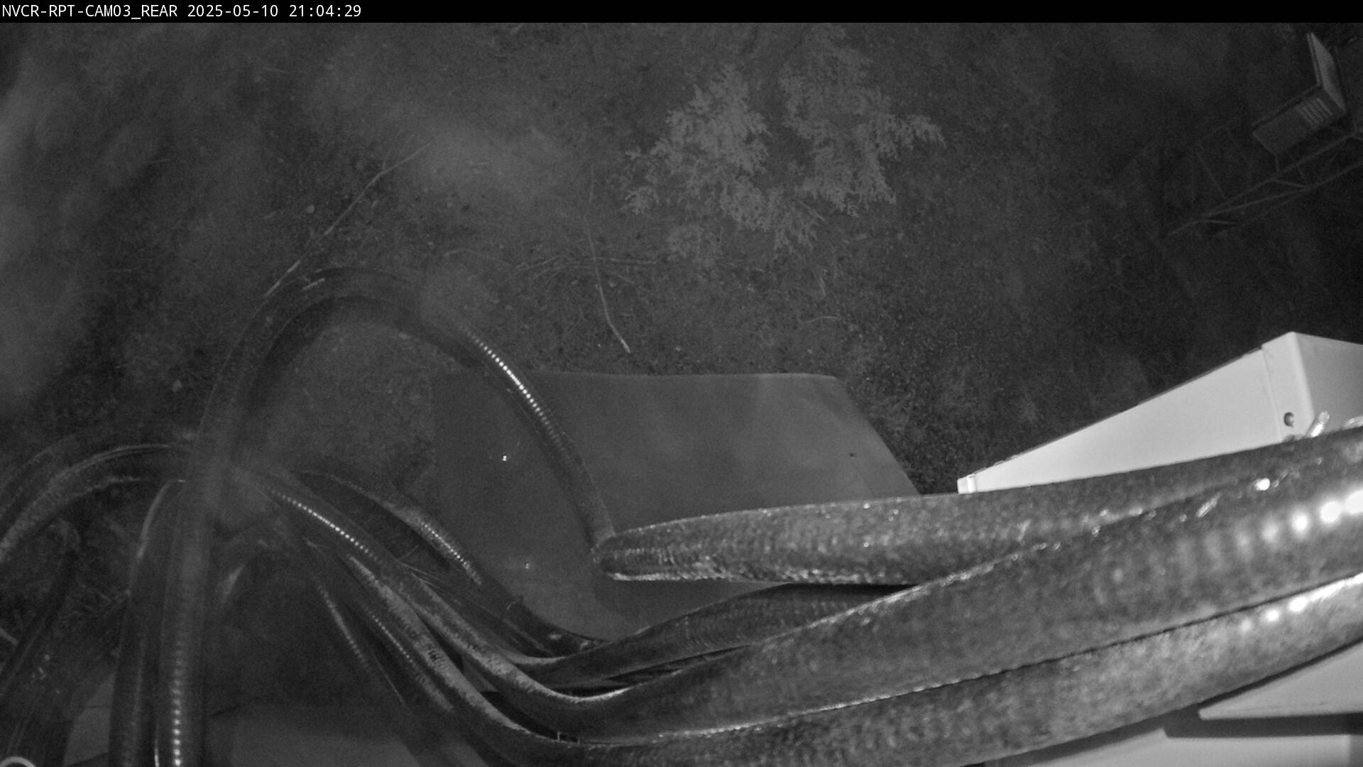 Web Cam History Image - 383