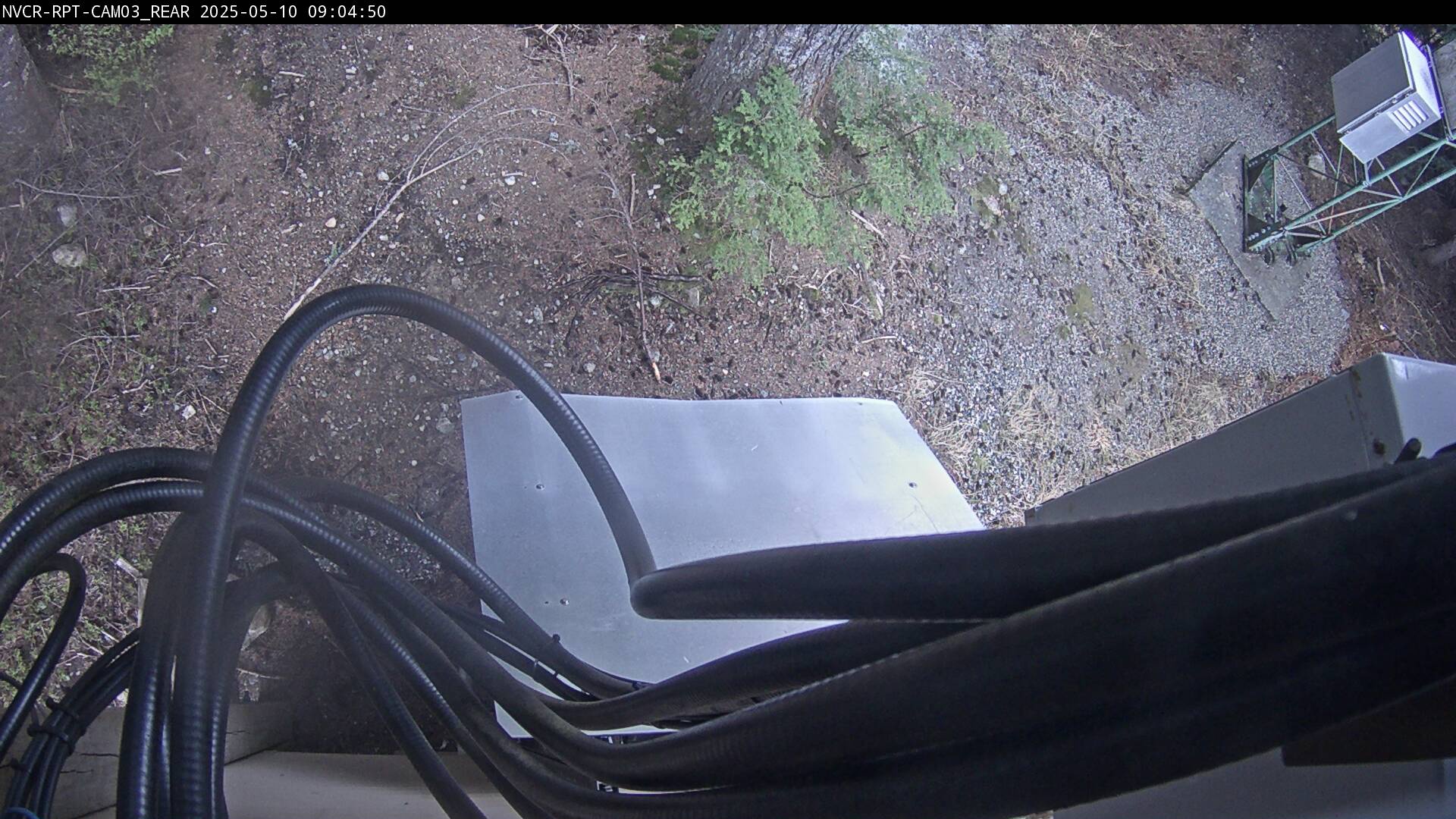 Web Cam History Image - 423