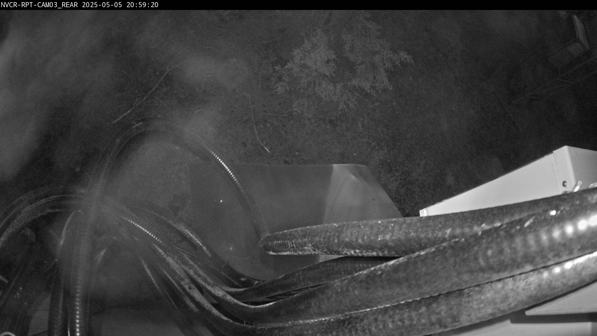 Web Cam History Image - 431