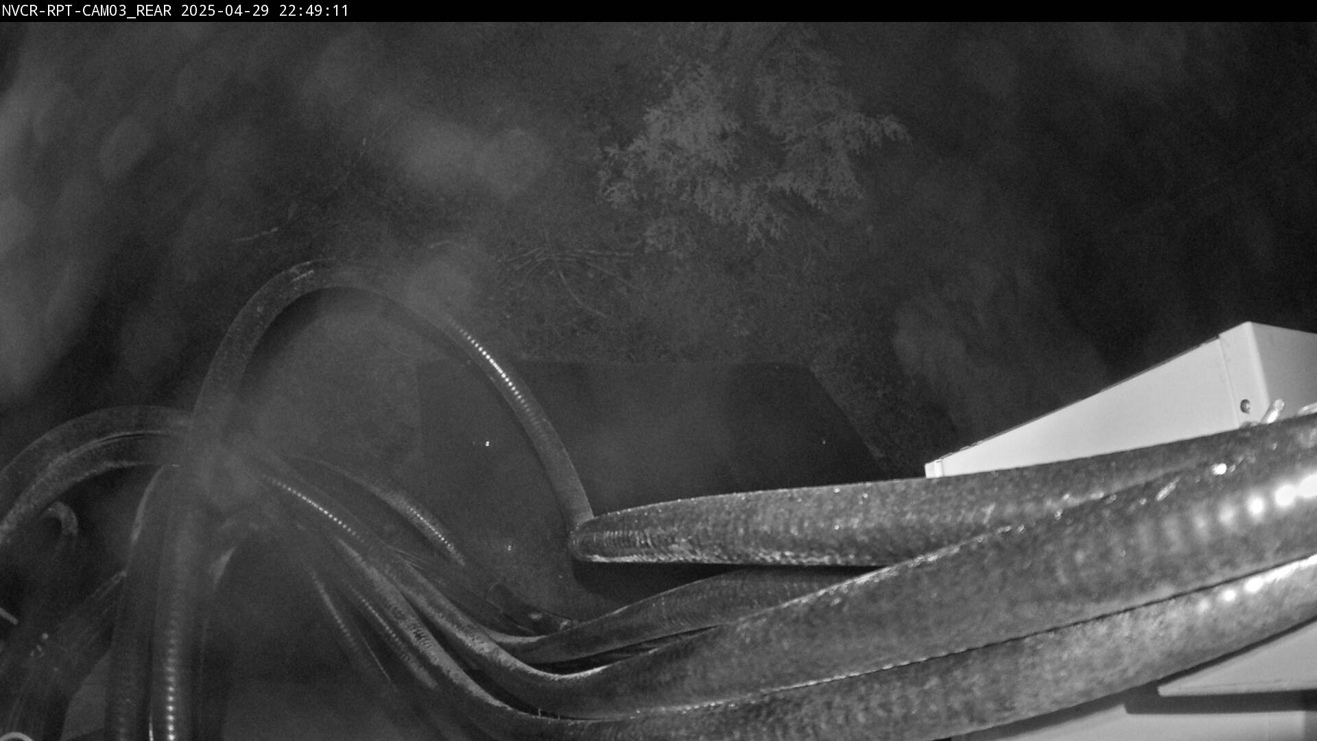 Web Cam History Image - 437