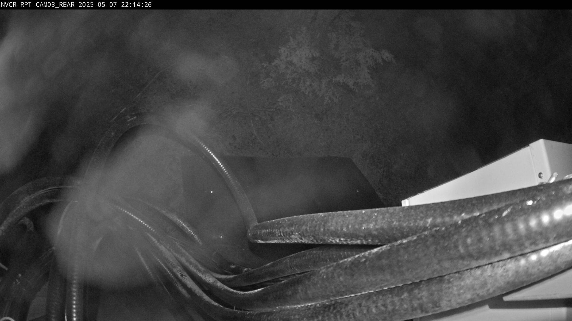 Web Cam History Image - 534