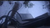 Web Cam Image - Wed, 11/20/2024 8:39am PST